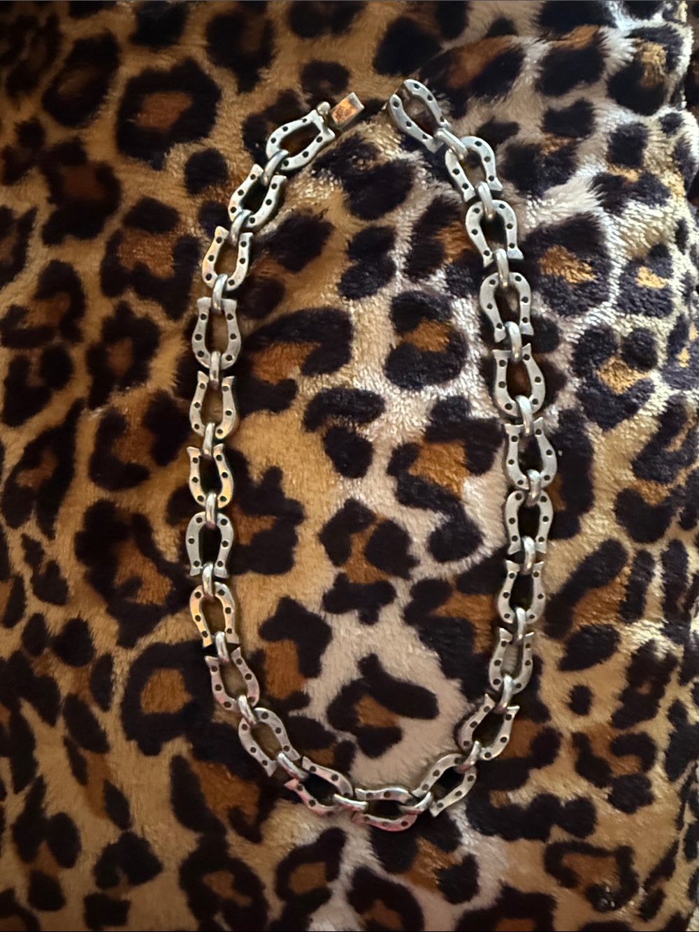 Lucky 🍀!  Sterling Silver Horseshoe necklace.